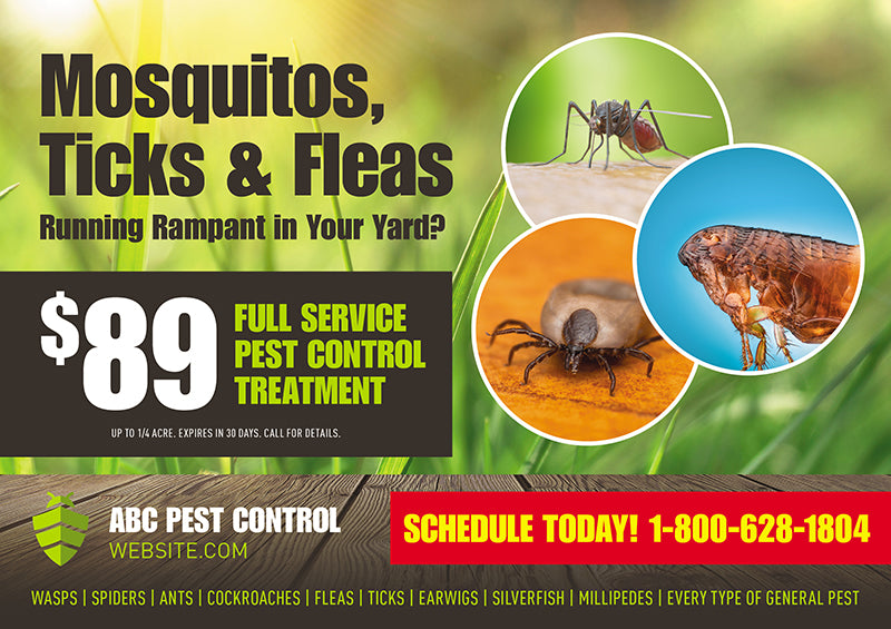 Pest Control Mailer with Coupon