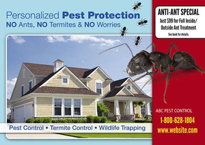 Pest Control Marketing Example