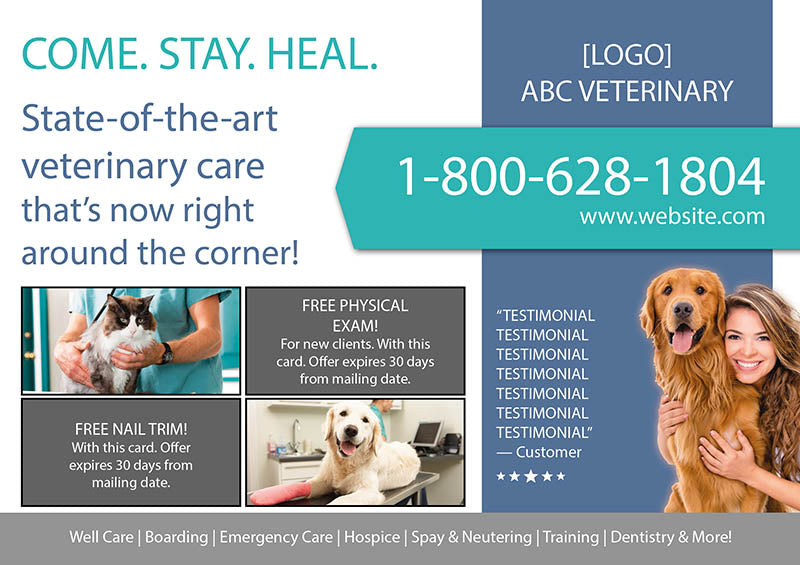 Veterinary Hospital My Pet Care Pet Care Affordable Vet Hospital